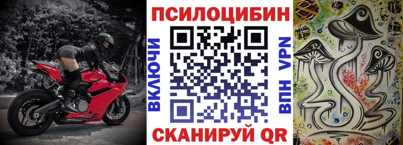 магазин продажи   Подпорожье  Галлюциногенные грибы Magic Shrooms 